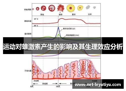 运动对雄激素产生的影响及其生理效应分析